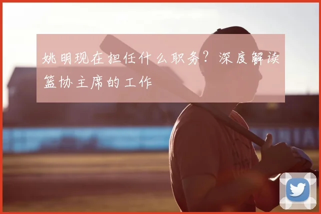 姚明现在担任什么职务?深度解读篮协主席的工作