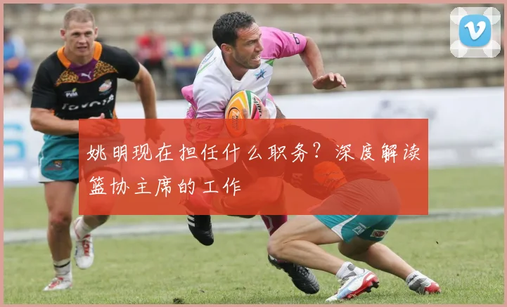 姚明现在担任什么职务?深度解读篮协主席的工作