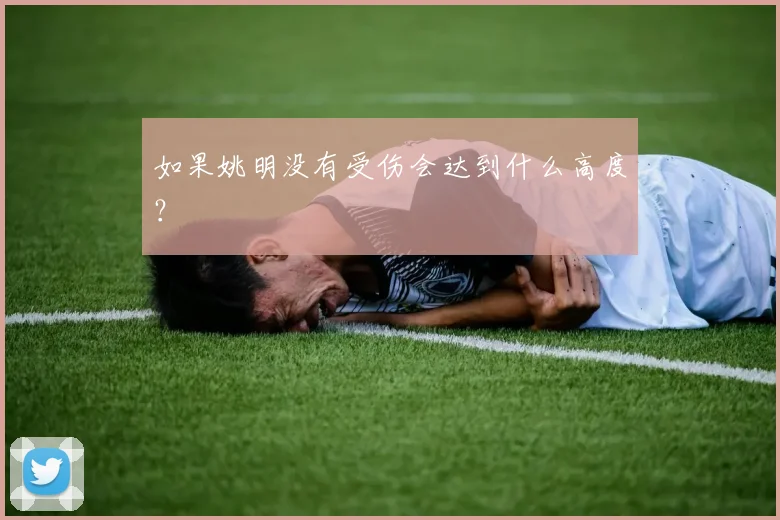 如果姚明没有受伤会达到什么高度?